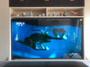 Vidda X Mini 2026款 海信電視 75英寸 超高刷QD-Mini LED 以舊換新家電國家補貼液晶AI電視75VX3Q 曬單實拍圖