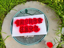 威卡固 自噴漆手噴漆 工業(yè)防銹漆防腐漆金屬漆 汽車改色 劃痕修復(fù) DIY涂鴉 350ml 12瓶裝 NO.228大紅色 曬單實拍圖