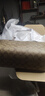 蔻馳（COACH）【品牌直供】禮物女士中號(hào)單肩托特包卡其棕色4455IME74 曬單實(shí)拍圖