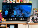 小米電視音響2.1 條形回音壁 Soundbar 家庭影院內置低音炮無(wú)線(xiàn)藍牙5.4音響 家用客廳音箱 NFC快速配對 曬單實(shí)拍圖