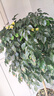 麗邦無(wú)芯卷紙5層2000克18卷衛生紙巾廁紙原漿大號加長(cháng)款實(shí)心家用嬰兒 曬單實(shí)拍圖