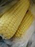 佳農(nóng)寶菜山東新鮮水果玉米單根275g+鮮甜多汁4-7根凈重4.6斤源頭直發(fā) 曬單實拍圖