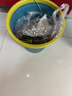 沐芊 生日皇冠頭飾女生18歲成人禮王冠發(fā)箍兒童高級感小公主女王黃冠 【水鉆珊瑚皇冠】 曬單實拍圖