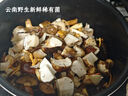 云南野生菌新鮮菌菇組合見(jiàn)手青牛肝菌火鍋煲湯蘑菇養(yǎng)生食用菌 稀有野生菌組合 500g 曬單實(shí)拍圖