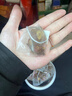 和道家紅棗桂圓枸杞茶花茶女生養生茶包30包養生茶飲女人泡水喝的熬夜茶 曬單實(shí)拍圖