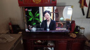 海信電視 50E3GD 50英寸 超薄懸浮全面屏 4K智慧屏 液晶巨幕 大屏游戲電視 以舊換新 家電國(guó)家補(bǔ)貼 曬單實(shí)拍圖
