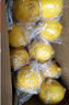 京鮮生 重慶金靴檸檬 2斤裝 單果120g+ 綠色食品 源頭直發(fā)包郵 曬單實(shí)拍圖