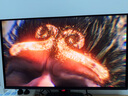 華碩ROG 絕神X OLED 26.5英寸QD-OLED顯示器4K 240Hz顯示器電競G-sync Type-C HDR400 DP1.4真10bit 曬單實(shí)拍圖