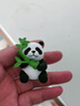 時(shí)鳥(niǎo)治愈桌面小擺件動(dòng)物仿真可愛(ài)竹子熊貓動(dòng)物模型公仔車載裝飾超實(shí)惠 8只 抱竹子大熊貓【整套】 曬單實(shí)拍圖
