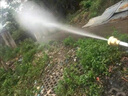 中農(nóng)益嘉 遙控汽油柴油噴霧器打藥機(jī)打藥農(nóng)藥噴霧機(jī)農(nóng)用一體機(jī)自動(dòng)收卷管 免安裝遙控頂配汽油60泵+300米管 曬單實(shí)拍圖