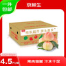 京鮮生 山東蒙陰水蜜桃凈重4.5斤 單果150g+毛桃子 生鮮水果 源頭直發(fā) 曬單實拍圖