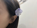 兩世歡超仙淡雅紫山茶花朵小抓夾發(fā)卡海邊拍照甜美氛圍感頭花發(fā)飾側邊夾 帶鉆紫色花朵小抓夾【超值一對】 曬單實拍圖