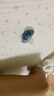 新安怡（AVENT）飛利浦進(jìn)口安撫奶嘴新生嬰兒防脹氣0-6-18個(gè)月寶寶硅膠奶嘴馬卡龍 6-18個(gè)月  1只裝 馬卡龍小鳥 曬單實(shí)拍圖