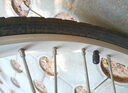 KENDA 建大24寸山地車內(nèi)胎24*1.95美嘴內(nèi)胎丁基內(nèi)胎行車內(nèi)帶自行車單車內(nèi)胎輪胎黑色 曬單實(shí)拍圖