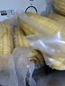 京鮮生東北白糯玉米250g*10棒 新鮮甜糯玉米棒真空包裝粘玉米 源頭直發(fā) 曬單實拍圖