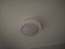雷士（NVC）led燈盤吸頂燈替換燈芯燈板圓形磁吸模組燈管燈條24瓦白光 曬單實拍圖