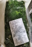 【農(nóng)村最鮮】春天里薺菜農(nóng)家野菜薺菜速凍薺菜水餃餛飩餡新 整顆【當季新菜4斤】精選商用裝 曬單實拍圖