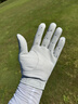 泰勒梅（Taylor made）高爾夫手套2025新款男士防滑耐磨透氣N38561羊皮左手套22碼 曬單實(shí)拍圖