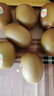 佳沛（zespri）佳沛奇異果新西蘭進(jìn)口陽(yáng)光金果【JD順豐-送貨上門】黃心獼猴桃 【原箱】22顆巨無(wú)霸果約135-145g 曬單實(shí)拍圖