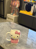 熊哲察hello kitty周邊水杯陶瓷凱蒂杯子創(chuàng  )意馬克杯卡通可愛(ài)少女實(shí)用大 粉色KT貓全身杯 【普通盒裝】 曬單實(shí)拍圖