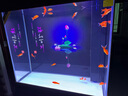 西龍新中式大型超白魚缸客廳家用水族箱下過濾底濾懶人免換水屏風(fēng)隔斷 胡桃色82*40*151靠墻款 尺寸 曬單實拍圖