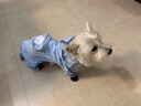嬉皮狗（hipidog）狗狗雨衣衣服寵物夏季小狗泰迪比熊小型犬立體背包可牽引連腳雨衣 邦迪藍 XL （建議體重11-15斤） 曬單實(shí)拍圖