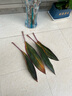 鴻運(yùn)竹紫竹水培植物辦公室內(nèi)桌面好養(yǎng)懶人綠植富貴轉(zhuǎn)運(yùn)竹水養(yǎng)帶根 紫竹鴻運(yùn)竹【50cm】*10根+營養(yǎng)液 曬單實(shí)拍圖