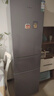 容聲216升三開(kāi)門(mén)小電冰箱家用小戶型節(jié)能超薄冷藏冷凍兩用保鮮出租房宿舍迷你BCD-216D11N銀國(guó)家補(bǔ)貼 曬單實(shí)拍圖
