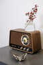 YTFY柏林之聲收音機藍牙音響家用客廳高音音箱木制家庭擺件復古禮物 MASTER R1(胡桃木） 曬單實(shí)拍圖