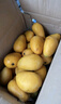 京地達(dá)廣西小臺(tái)芒果凈重5斤單果100g小芒果新鮮水果源頭直發(fā)包郵 曬單實(shí)拍圖