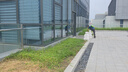 TOMSPOWER充電式綠籬機(jī)電動(dòng)修剪機(jī)托馬斯園林綠化剪茶葉背負(fù)式茶樹修粗枝機(jī) 雙刃24V重修款+20A(8.5小時(shí)) 曬單實(shí)拍圖