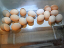 正大食品【無抗】正大鮮雞蛋18枚1.01kg 曬單實拍圖