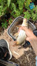 一味活魚桶魚護(hù)桶一體成型裝魚桶魚護(hù)包魚箱漁具收納包釣魚桶 曬單實(shí)拍圖