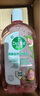 滴露（Dettol）香氛自然衣物消毒液殺菌48H留香洗衣除汗臭兒童玩具消毒水1000ml 曬單實拍圖