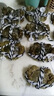 【活蟹】 陽澄姑娘大閘蟹 現(xiàn)貨鮮活特大螃蟹 海鮮水產(chǎn)生鮮禮盒裝 公4.5-4.8兩母3.5-3.8兩10只 曬單實(shí)拍圖