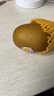 佳沛（zespri）新西蘭 陽(yáng)光金奇異果12粒禮盒特大果單果約122-146g 獼猴桃 水果 曬單實(shí)拍圖