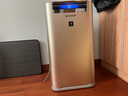夏普 （SHARP）空氣凈化器消毒機 家用室內(nèi)除甲醛 消毒凈化機 除霧霾異味煙塵殺菌除異味  KC-GG50-N 無霧加濕金色 曬單實拍圖