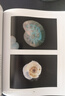 中國(guó)國(guó)家地理到深海去 海洋生物科普讀物深海探索之旅 曬單實(shí)拍圖