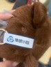 【品牌】隼眼小聰AI毛絨玩具機器人生日禮物兒童益智玩具娃娃手辦禮物毛絨公仔 棕熊星抱 曬單實(shí)拍圖