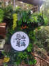 波司登25年庫(kù)洛米聯(lián)名輕薄羽絨服兒童5A抗菌連帽外套T250135540 曬單實(shí)拍圖