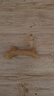 貴為（GiGwi）狗玩具磨牙棒狗狗磨牙玩具幼犬小型犬木塑鹿角小號寵物用品玩具 曬單實(shí)拍圖