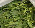 京滿隆新鮮板藍根青菜當季露天嫩油菜苔農(nóng)家自種蔬菜青菜葉整箱 1000g 精選裝 曬單實拍圖