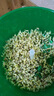 XKJ德國(guó)豆芽機(jī)家用全自動(dòng)小型綠豆芽花生芽發(fā)芽盆器發(fā)芽菜工具生豆芽 雙層 曬單實(shí)拍圖
