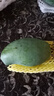 金煌芒新鮮水果 金煌芒果應當季生鮮 帶箱1斤 中大果【單果140g+】 曬單實拍圖