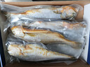 鮮京采 冷凍三去黃花魚(寧德大黃魚)1700g (5條裝)  禮盒  生鮮 海魚 曬單實(shí)拍圖