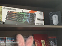 賽睿（SteelSeries）ApexPro電競磁軸鍵盤 游戲有線鍵盤 RT急停機(jī)械鍵盤 FPS/打瓦/CSGO/無畏契約104鍵 學(xué)生黨鍵盤 曬單實拍圖