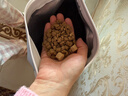 伯納天純鴨肉梨凍干三拼全價(jià)狗糧10kg/20斤 曬單實(shí)拍圖