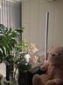 BARRINA佰利納全光譜落地側(cè)發(fā)光植物補(bǔ)光燈仿太陽防眩熱植生長(zhǎng)燈 1.7m-【黃光銀色】-65W 曬單實(shí)拍圖