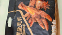 良品鋪子虎皮鳳爪鹵香味500g 即食雞爪熟食鹵味宿舍夜宵解饞肉類零食 曬單實拍圖