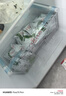 蒙牛純牛奶百利包牛奶200ml*16袋整箱批發(fā)袋裝 200mL*16袋 曬單實(shí)拍圖